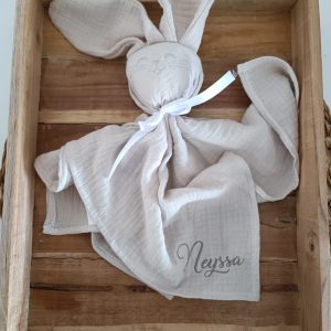 Doudou : Mon compagnon d'aventure