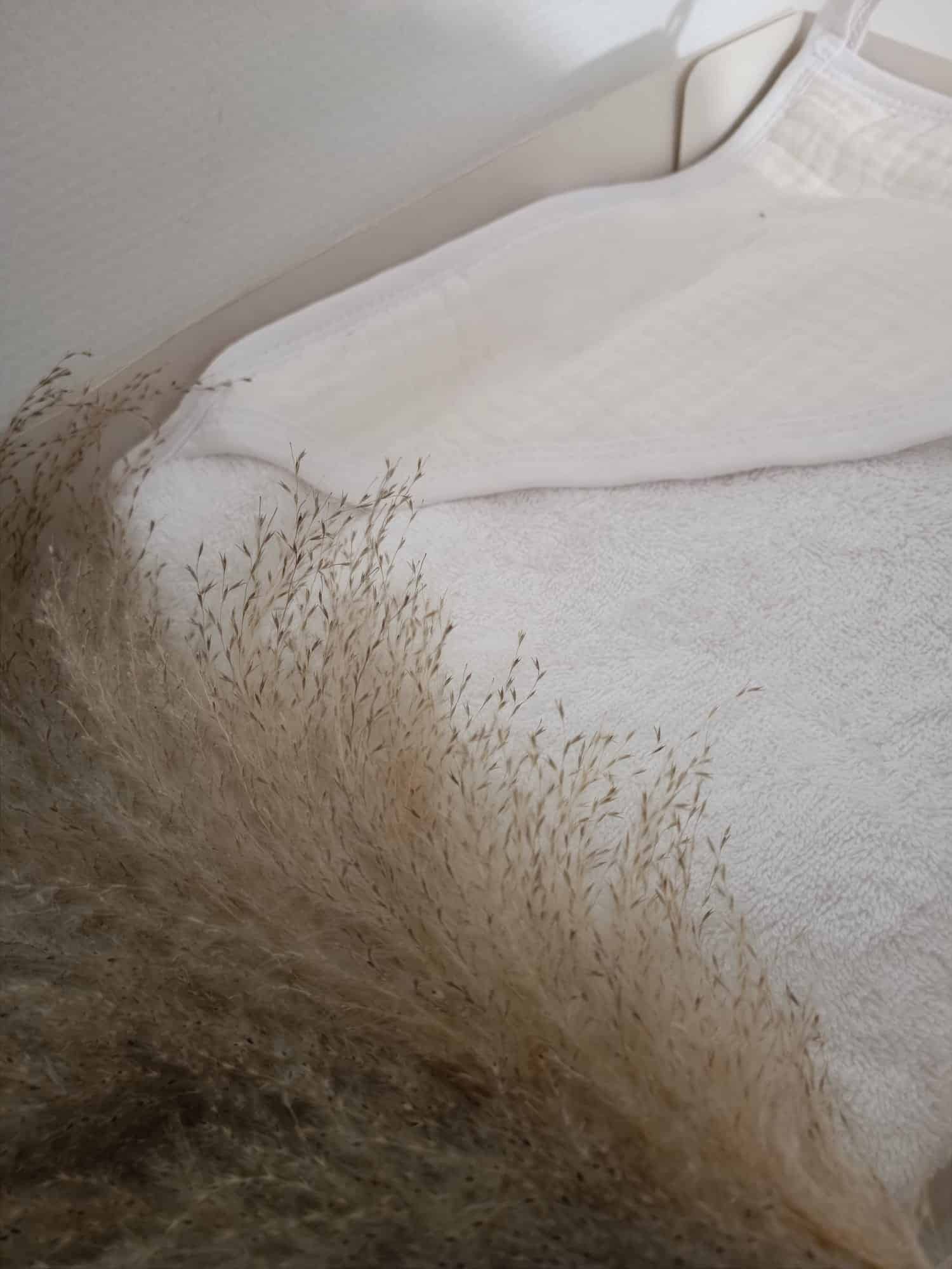 WhatsApp Image 2023-11-20 à 14.33.32_12ce9db7