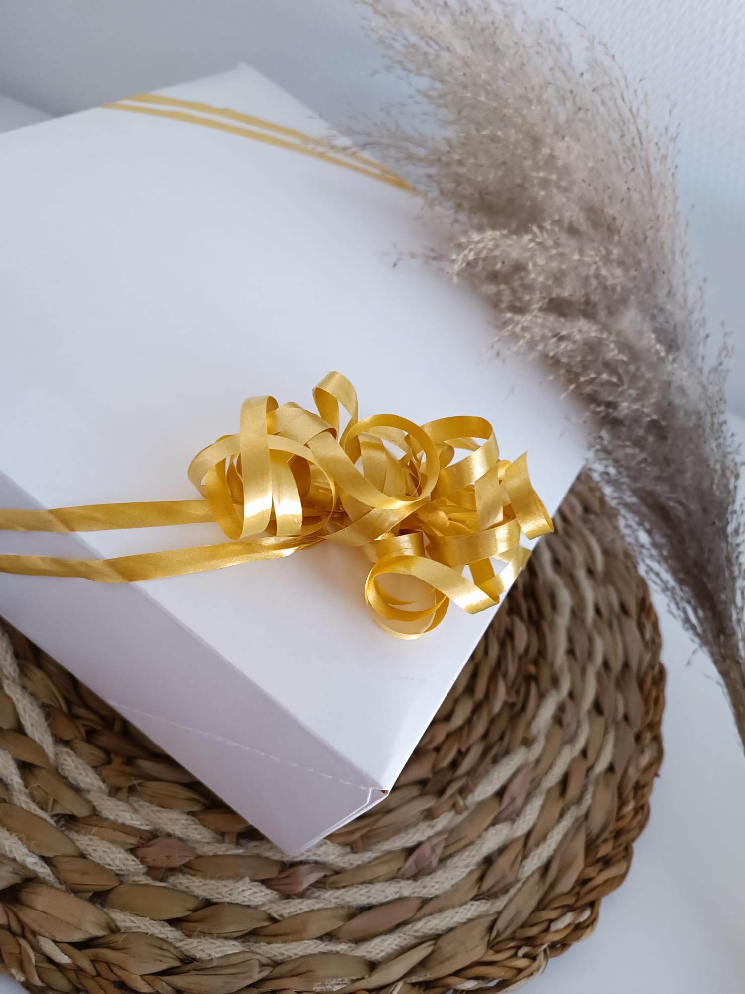 WhatsApp Image 2024-03-22 à 22.53.49_eb5d209f