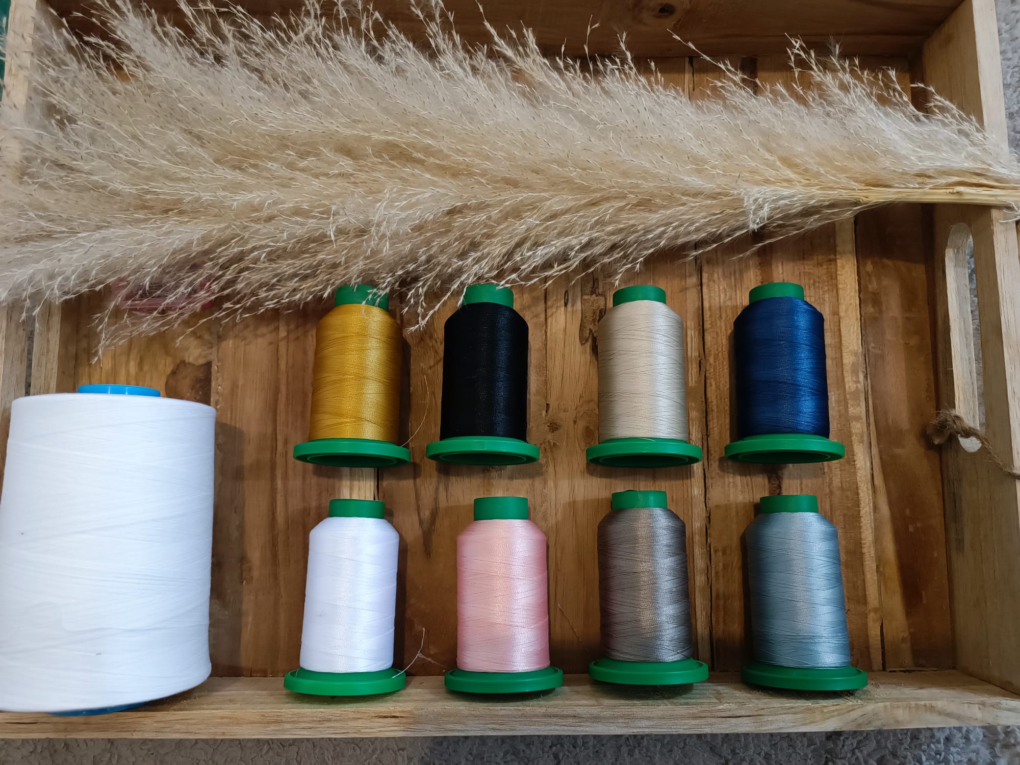 WhatsApp Image 2025-07-07 à 22.44.37_f3d8e31a