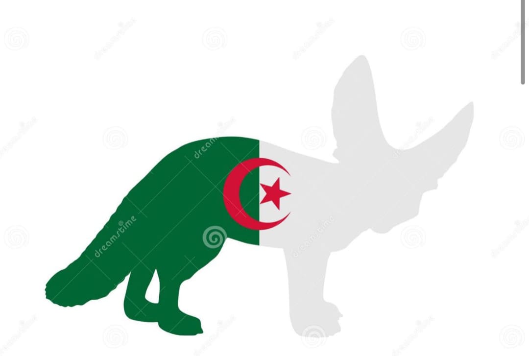 WhatsApp Image 2025-12-25 at 11.20.29 (4)